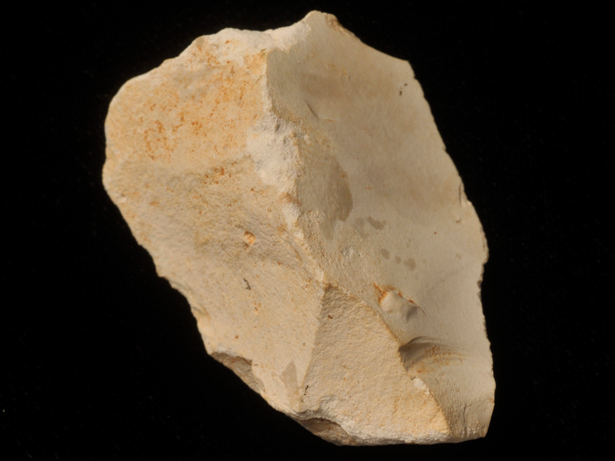 Campaña de excavaciones 2013 en los yacimientos de la sierra de Atapuerca
