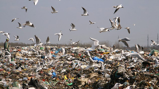 La Comisión Europea adopta propuestas para potenciar el reciclado en los Estados miembros
