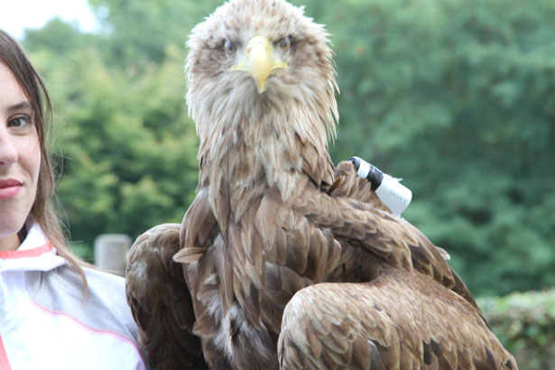 Auténticas imágenes 100% a vista de águila