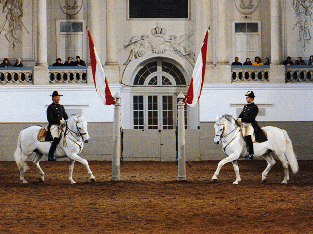 Viena celebra el 450 aniversario de la Escuela Española de Equitación