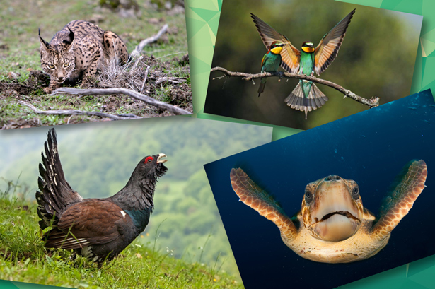 Se celebra el Día Internacional de la Diversidad Biológica