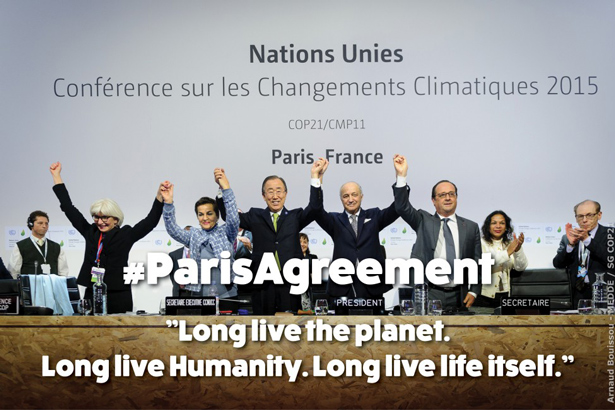 Martillazo verde en la COP21 de París