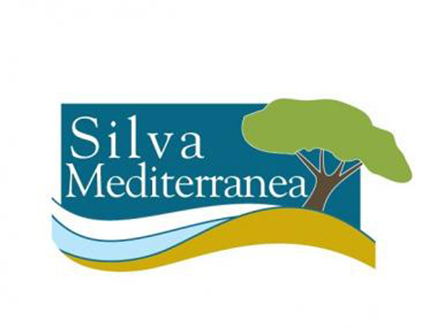 España presidirá los próximos dos años el Comité de Silva Mediterránea