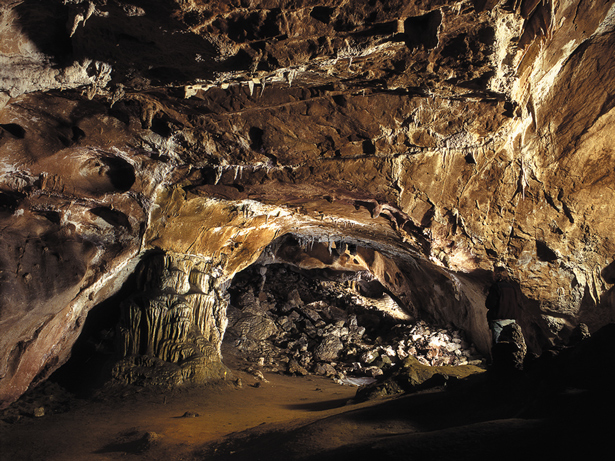 Cueva de Altamira (España)