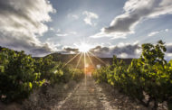 El Ministerio de Agricultura, Pesca y Alimentación de España reconoce 84 viñedos singulares dentro de la Denominación de Origen Calificada Rioja