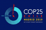 25ª Conferencia de las Partes de la Convención Marco de Naciones Unidas sobre el Cambio Climático (COP25)