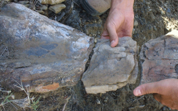 La Fundación Dinópolis ha inventariado 30 nuevos yacimientos de dinosaurios en la Sierra de Gúdar (Aragón) en los últimos cinco años