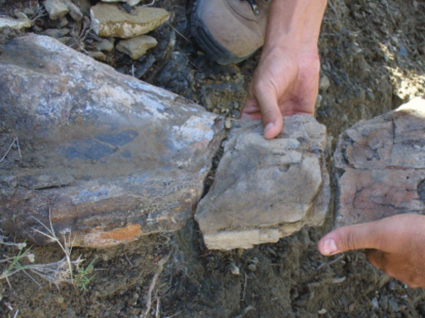 La Fundación Dinópolis ha inventariado 30 nuevos yacimientos de dinosaurios en la Sierra de Gúdar (Aragón) en los últimos cinco años