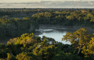 Fondo Verde otorga 28 millones a Colombia para combatir la deforestación en la Amazonía