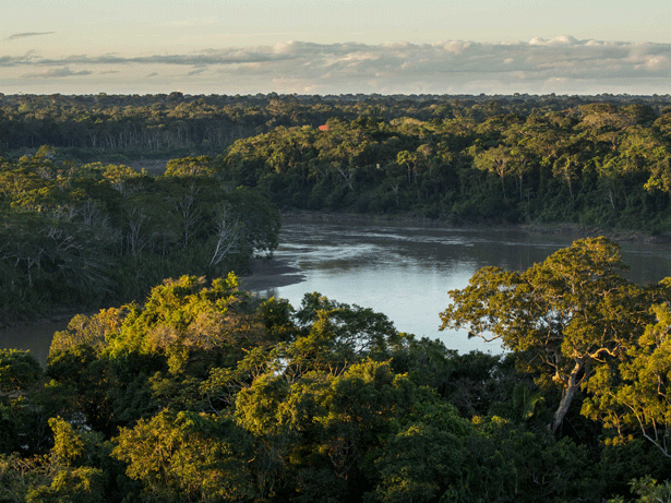 Amazonía-©-Days-Edge-Productions-WWF-US