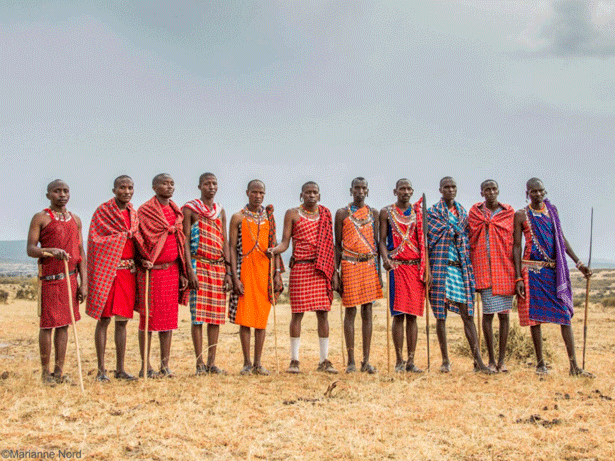 Ganadores del Premio Ecuatorial 2020 (Kenya), Nashulai Maasai Conservancy of Sekenani. Foto: Nashulai Maasai Conservancy