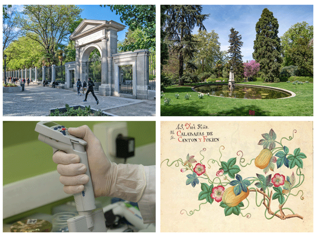 El Real Jardín Botánico de Madrid cumple 265 años