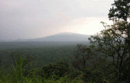La UNESCO condena un nuevo ataque mortal contra el Parque Nacional Virunga, República Democrática del Congo
