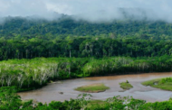 La UNESCO x LVMH implementan soluciones en las reservas de biosfera del Amazonas