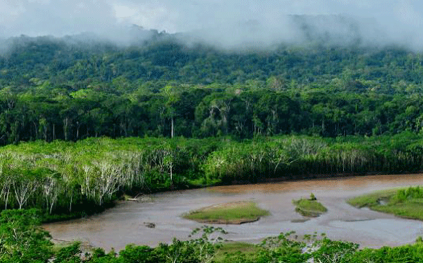 La UNESCO x LVMH implementan soluciones en las reservas de biosfera del Amazonas