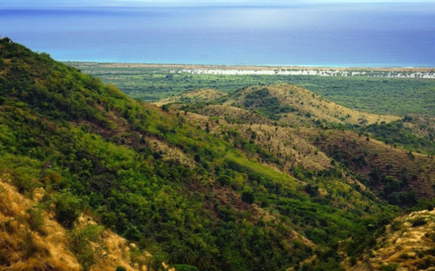 En Haití, las comunidades apuntan a la deforestación