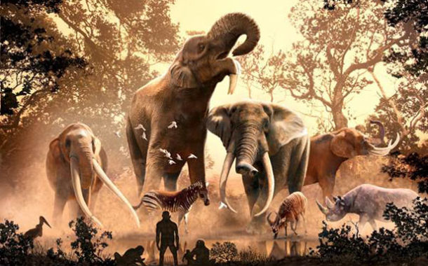 Los cambios ambientales jugaron un papel clave en el declive del linaje de los elefantes, los mamuts y los mastodontes