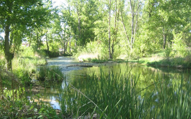 MITECO invertirá más de 14 millones de euros en las Reservas Naturales Fluviales