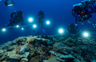 Una misión de la UNESCO descubre un raro arrecife de coral cerca de Tahití