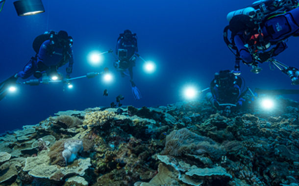 Una misión de la UNESCO descubre un raro arrecife de coral cerca de Tahití