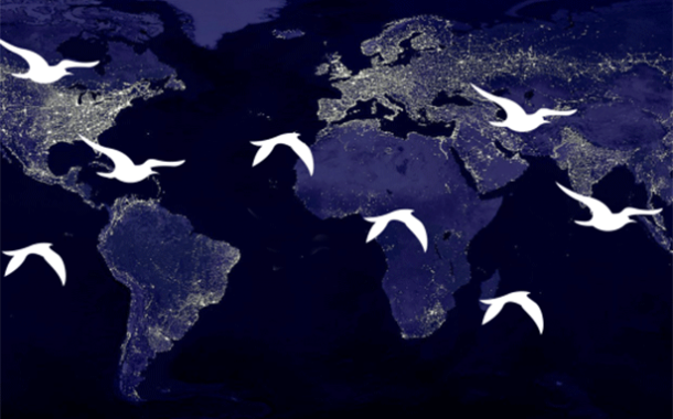 El Día Mundial de las Aves Migratorias ilumina el lado oscuro de la contaminación lumínica
