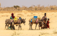 Millones de personas en alto riesgo de morir de hambre por la sequía en el Cuerno de África