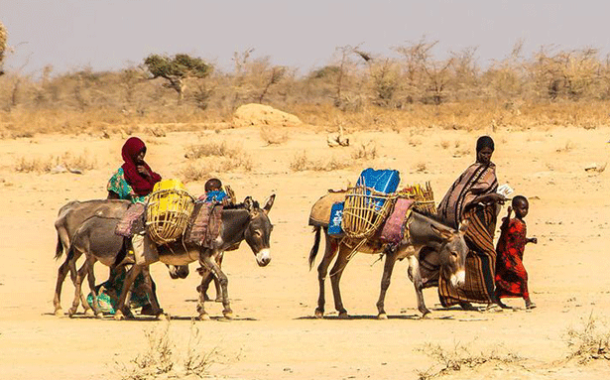 Millones de personas en alto riesgo de morir de hambre por la sequía en el Cuerno de África