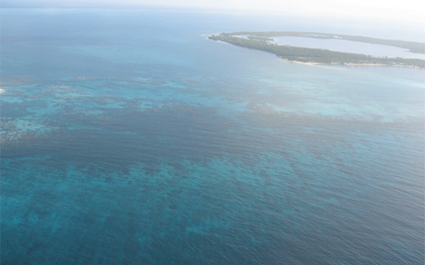 Mejores prácticas en la preparación para el blanqueamiento de corales en los sitios marinos del Patrimonio Mundial de la UNESCO