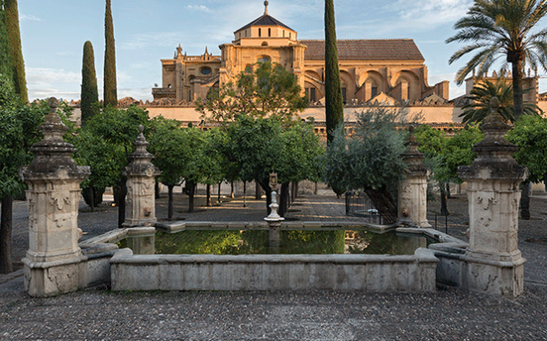 Cinco de los patios institucionales más icónicos de Córdoba acogerán las instalaciones artísticas de FLORA 2022