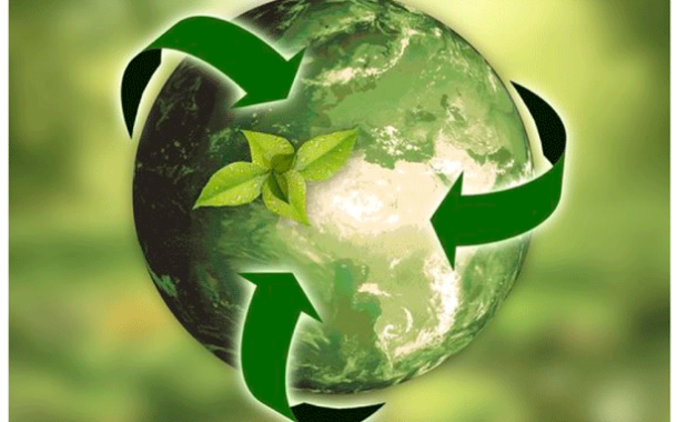 El Pacto Verde Europeo pide un uso más sostenible de los recursos naturales vegetales y del suelo