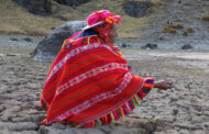 Las reformas de la legislación forestal amenazan la supervivencia de los pueblos indígenas, advierte experto de la ONU en Perú