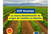 El vino español «Rosalejo» se añade al Registro de Denominaciones de Origen Protegidas (DOP)