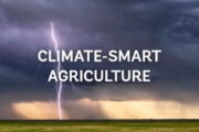 Cambios en la producción agrícola y alimentaria pueden reducir las emisiones de efecto invernadero en un tercio