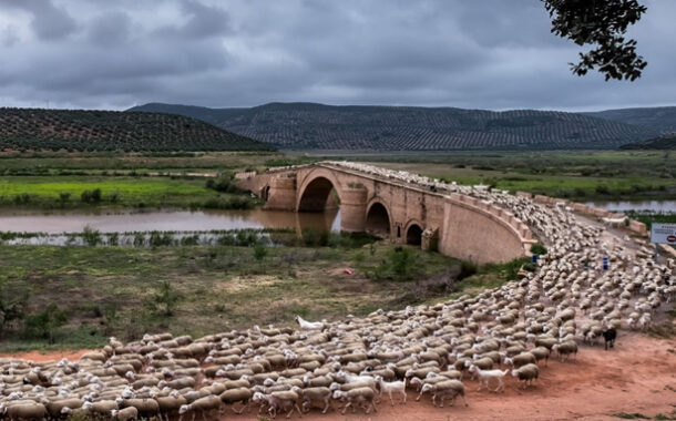 ICOMOS lanza una iniciativa para resaltar el valor patrimonial de los paisajes culturales de trashumancia