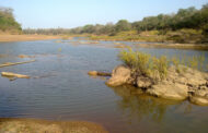 El Parque Nacional de Niokolo-Koba (Senegal) sale de la Lista del Patrimonio Mundial en Peligro