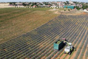 El Gobierno aprueba nuevas normas para favorecer la nutrición sostenible de los suelos agrarios