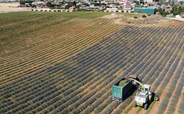 El Gobierno aprueba nuevas normas para favorecer la nutrición sostenible de los suelos agrarios