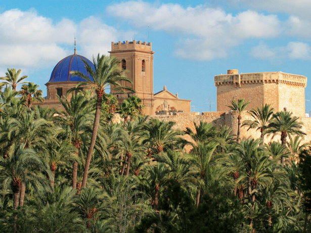 Viajan D.O. hace escala en Elche, con el Palmeral más grande de Europa, una Dama, y mucho patrimonio de la humanidad