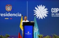 COP16: Guterres pide movilizar financiación pública y privada para proteger la biodiversidad