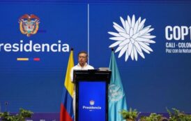 COP16: Guterres pide movilizar financiación pública y privada para proteger la biodiversidad