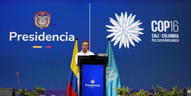 COP16: Guterres pide movilizar financiación pública y privada para proteger la biodiversidad