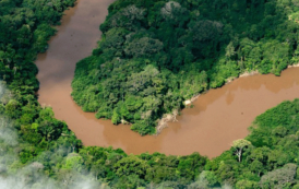 Efectos del cambio climático: La sequía en la Amazonia está dejando a 420.000 niños sin comida ni educación