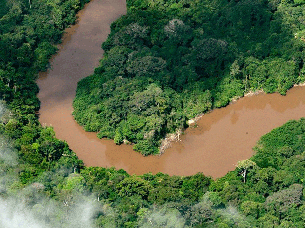 Efectos del cambio climático: La sequía en la Amazonia está dejando a 420.000 niños sin comida ni educación