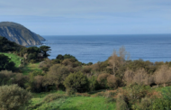 La UNESCO destaca la importancia de la biodiversidad y la preservación cultural en la COP16