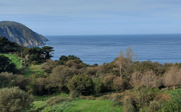 La UNESCO destaca la importancia de la biodiversidad y la preservación cultural en la COP16