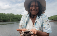 Naturaleza, paz y cultura convergen en el Pacífico colombiano