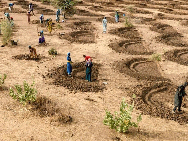 Trazando el camino para una acción mundial sobre la tierra y la sequía