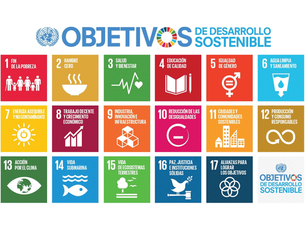 ¿Qué es la justicia social y cómo contribuye la ONU a hacerla realidad en todo el mundo?