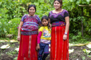 Los Pueblos Indígenas son marginados en la lucha climática global