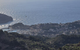 La Sierra de la Tramontana: donde la Montaña se encuentra con el Mar